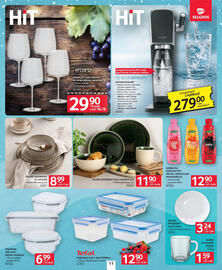 Selgros gazetka Strona 13