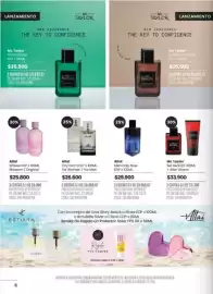 Catálogo Pigmento Página 6