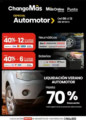 Catálogo Punto Mayorista (válido hasta 14-01)