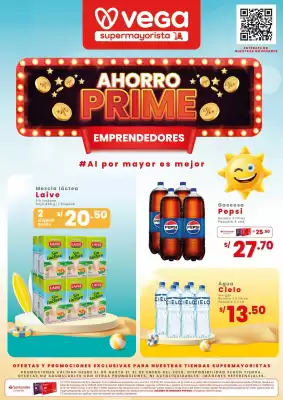 Catálogo Vega (válido hasta 31-01)