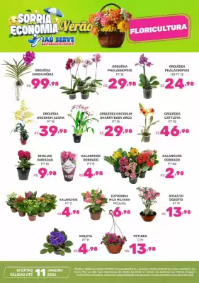 Catálogo Supermercados Jau Serve (válido até 11-01)