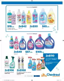 Folleto Chedraui Página 5