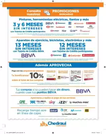 Folleto Chedraui Página 13