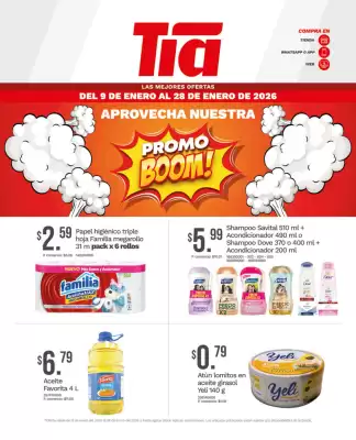 Catálogo Tia (válido hasta 28-01)