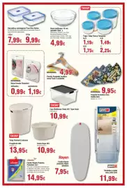 Folleto FROIZ Página 8