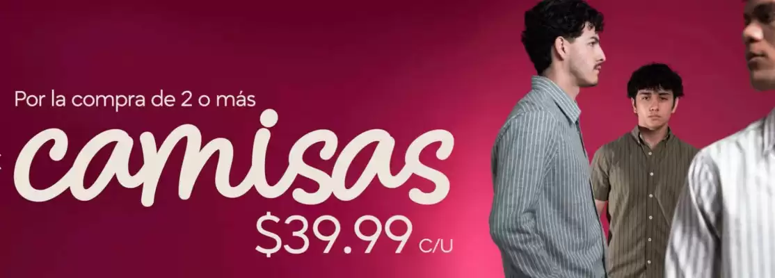 Catálogo Pinto (válido hasta 29-01)