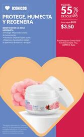 Catálogo AVON Página 120