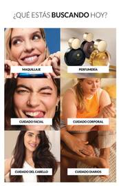 Catálogo AVON Página 6