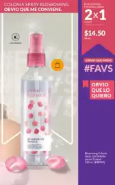Catálogo AVON Página 101