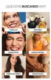 Catálogo AVON Página 6