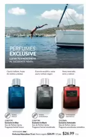 Catálogo AVON Página 84