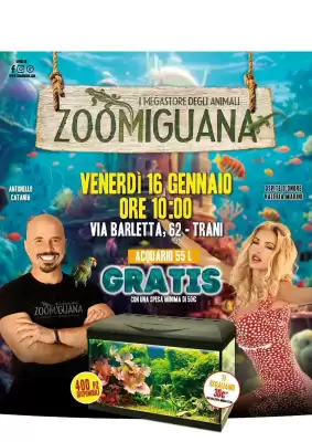 Volantino Zoomiguana (valido fino al 16-01)