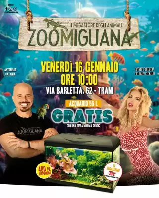 Volantino Zoomiguana (valido fino al 16-01)