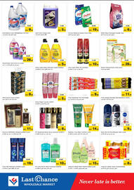 Last Chance flyer Page 7