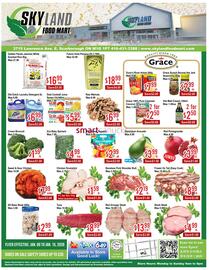 Skyland Foodmart flyer week 2 Page 1