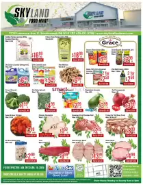 Skyland Foodmart flyer week 2 Page 1