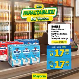 Catálogo Mayorsa Página 2