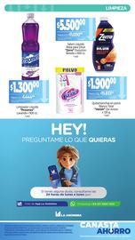 Catálogo La Anonima Página 9