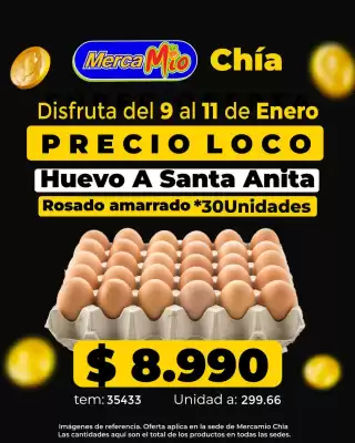 Catálogo MercaTodo (válido hasta 11-01)