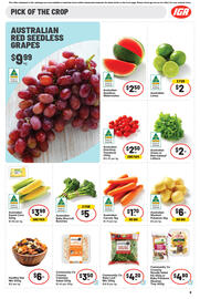 IGA catalogue week 2 Page 10