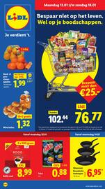 Lidl folder week 3 Pagina 1