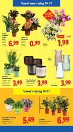Lidl folder week 3 Pagina 21