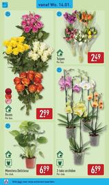 ALDI folder week 3 Pagina 30