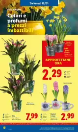 Volantino Lidl settimana 3 Pagina 38