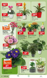 E.Leclerc gazetka Strona 26