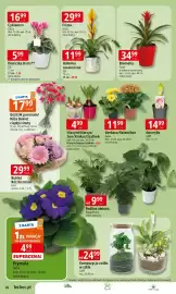 E.Leclerc gazetka Strona 26