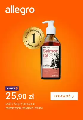 Allegro gazetka (ważność do 15-01)