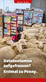 PENNY Prospekt woche 3 Seite 24