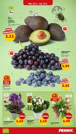 PENNY Prospekt woche 3 Seite 5