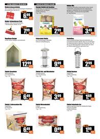 V Baumarkt Prospekt woche 3 Seite 2