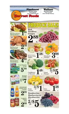 Harvest Foods weekly ad (valid until 13-01)