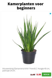 Intratuin folder week 3 Pagina 2