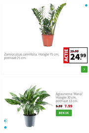 Intratuin folder week 3 Pagina 3