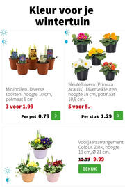 Intratuin folder week 3 Pagina 6