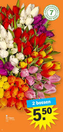 Albert Heijn folder week 3 Pagina 22