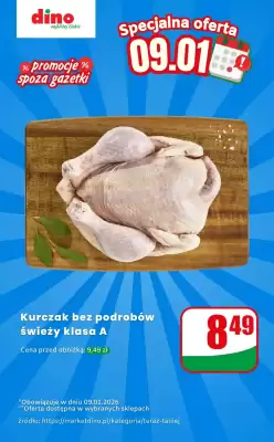 Dino gazetka (ważność do 9-01)