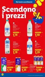 Volantino Lidl | Ribassati Pagina 12