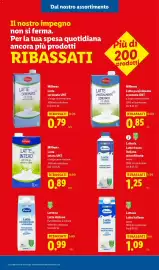 Volantino Lidl | Ribassati Pagina 13
