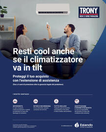 Volantino Trony Pagina 12