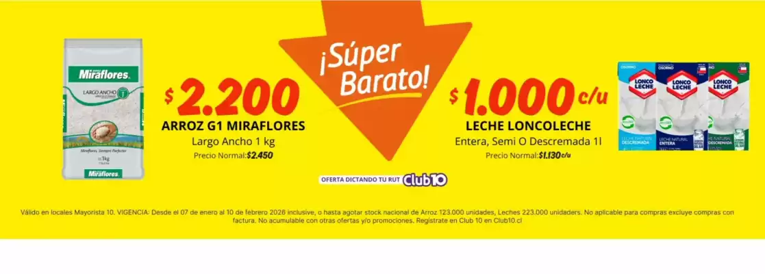 Catálogo Mayorista 10 (válido hasta 10-02)