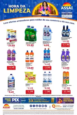 Encarte Assaí Atacadista (válido até 11-01)