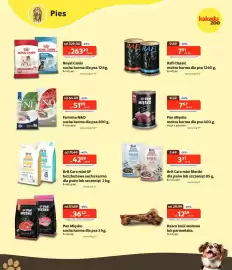 Kakadu gazetka Strona 3