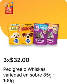 Catálogo OXXO Página 51