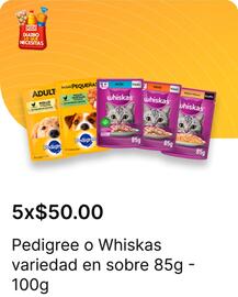 Catálogo OXXO Página 73