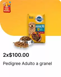 Catálogo OXXO Página 1