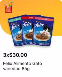 Catálogo OXXO Página 30
